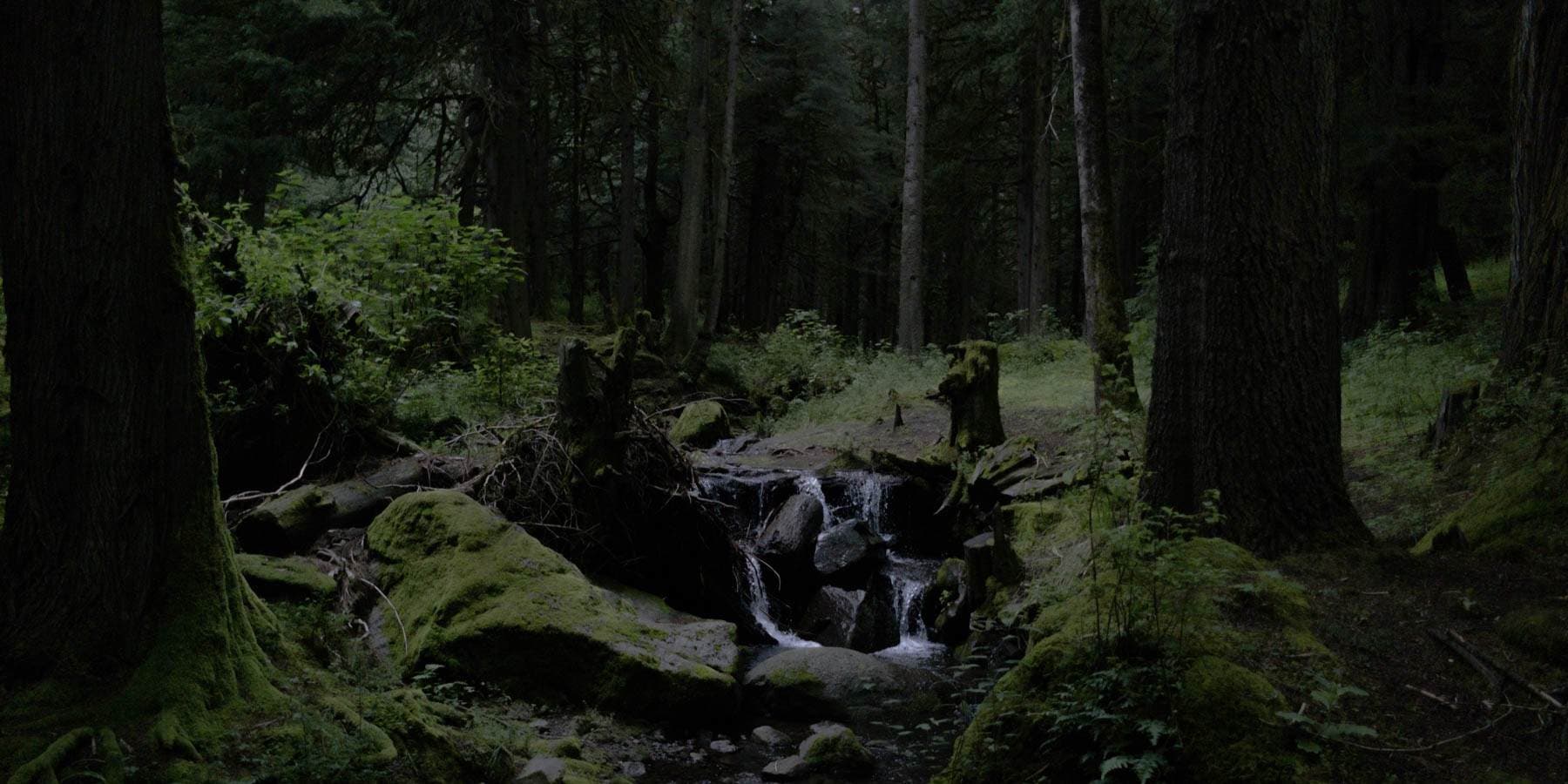 Nature landscape