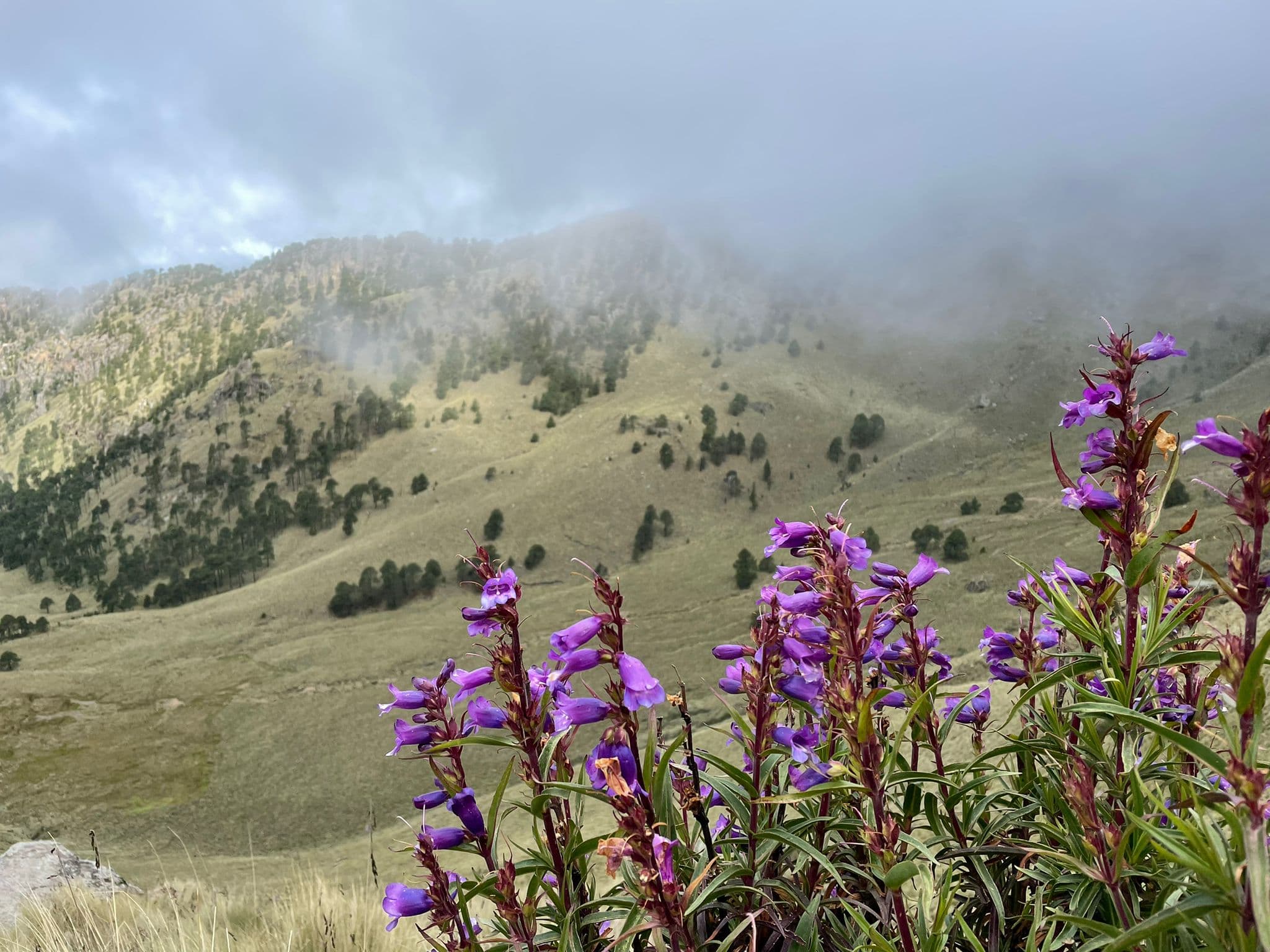Nature landscape