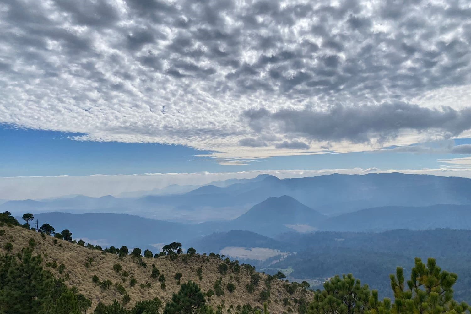 Nature landscape