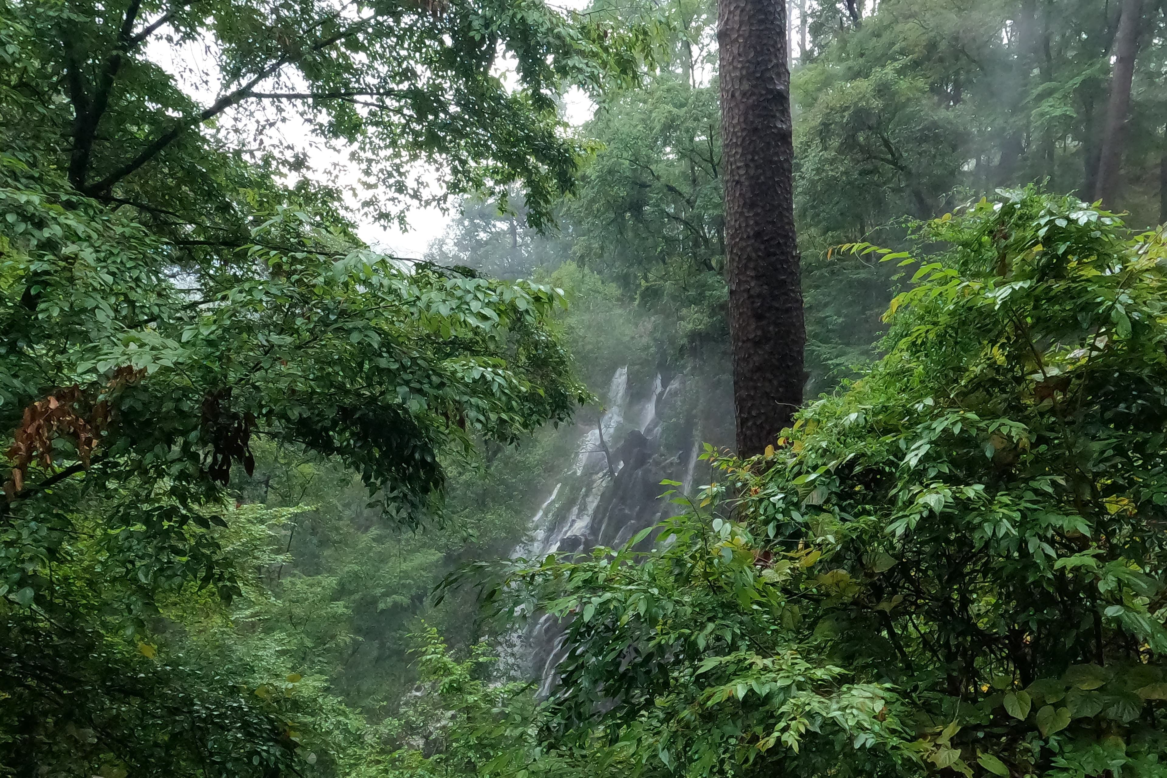 Nature landscape